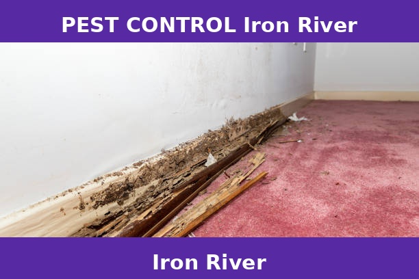 PEST CONTROL Iron River